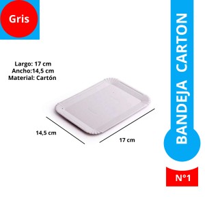 BANDEJA CARTON GRIS REC N°1 x 100u